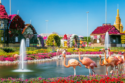 Dubai Miracle Garden met bloemenhuisjes, waterpartij met flamingofiguren